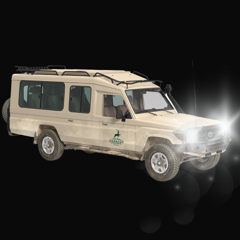 Safari Cruiser 5x Grand