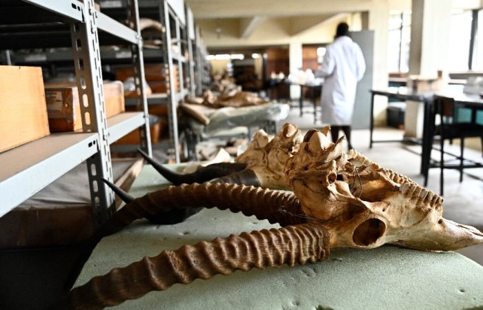 Best Places to Visit in Nairobi